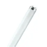 46250