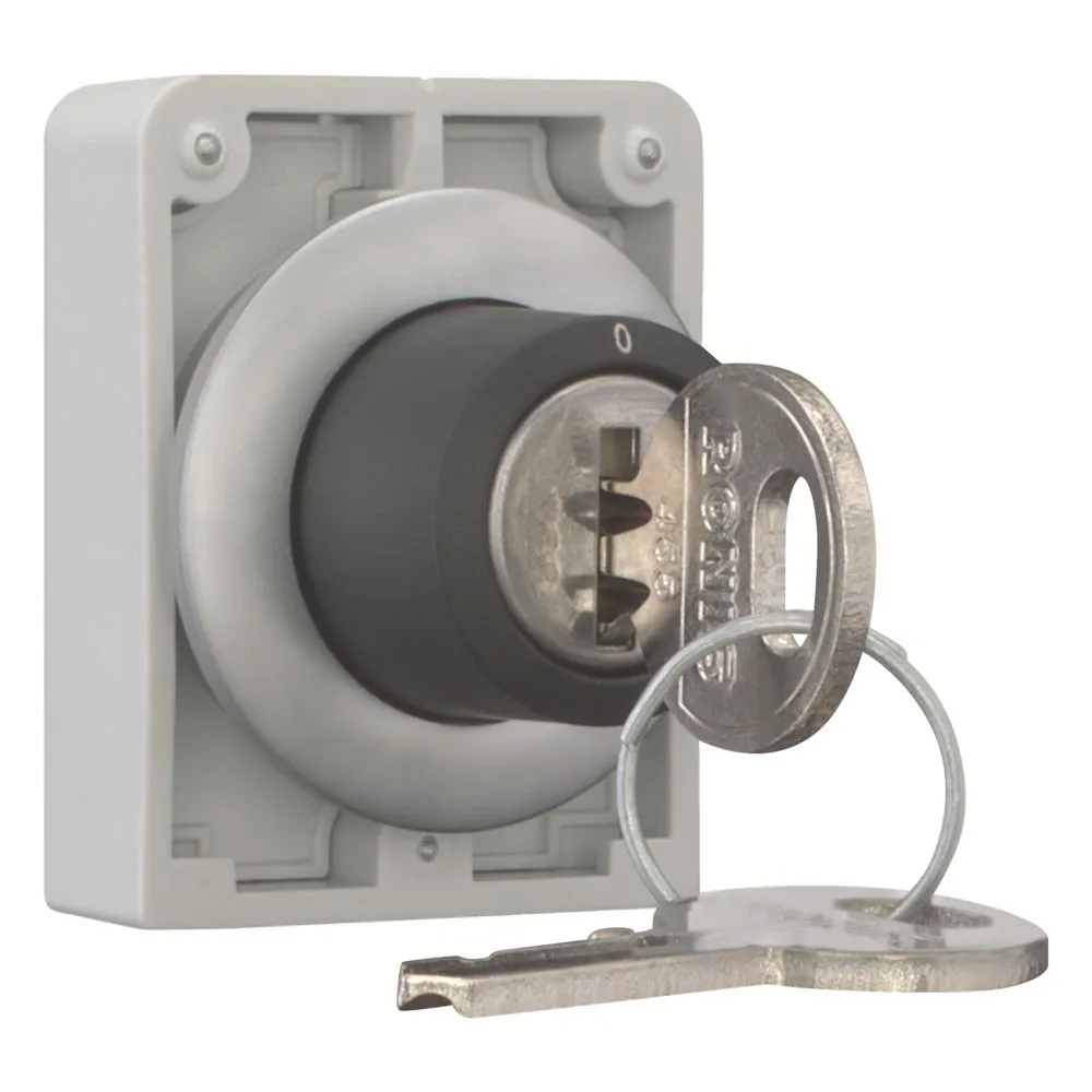 Eaton Electric M30C-FWRS-RS Pic_2