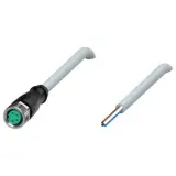 V31-GM-4M-PVC
