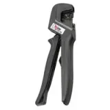 BIZ 700260