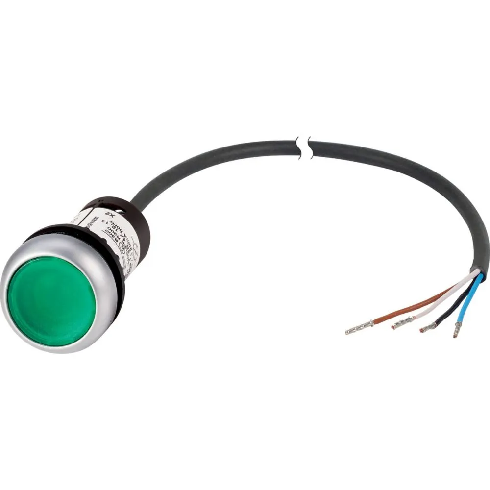 Eaton Electric C22-DL-G-K10-24-P65 Pic_1