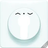 Jung CD 528 BR Pic_2