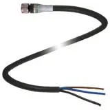 217491