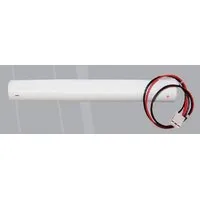 CEAG NOTLICHTSYSTEME GMBH NICD-AKKU 2,4V/4 AH GSD Pic_2