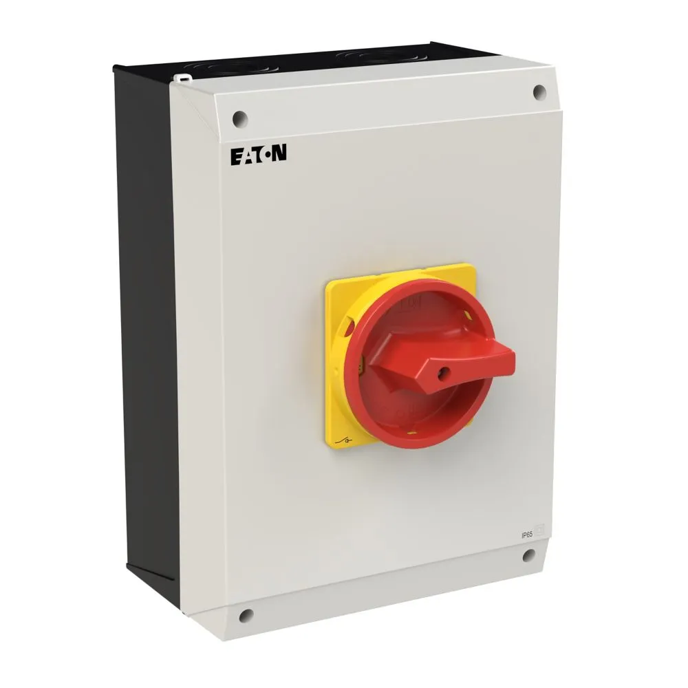 Eaton Electric P3-100/I5/SVB/N Pic_1