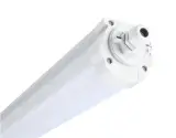 543022019800