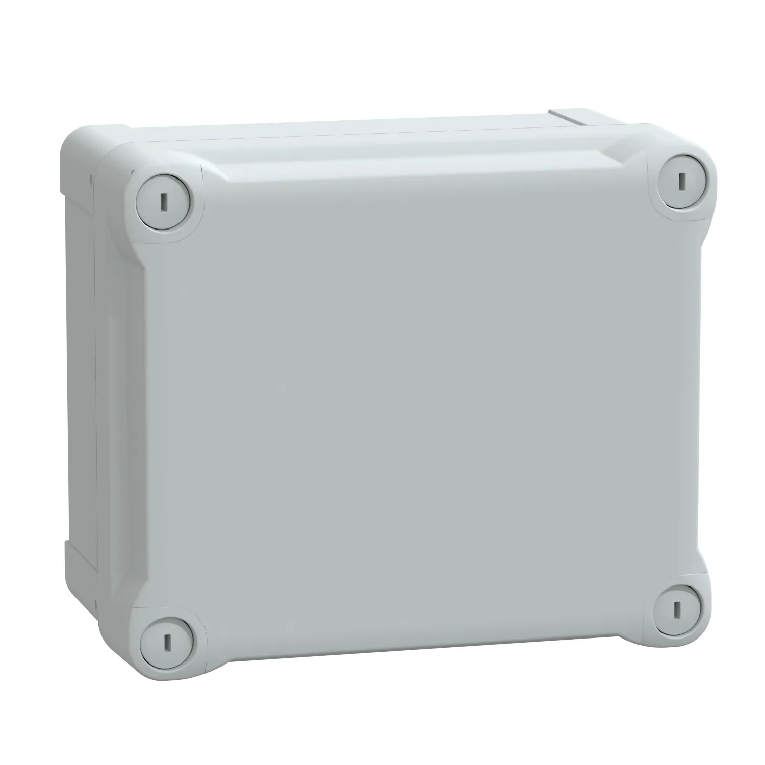 Schneider Electric NSYTBS191610H Pic_1