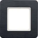 10116030