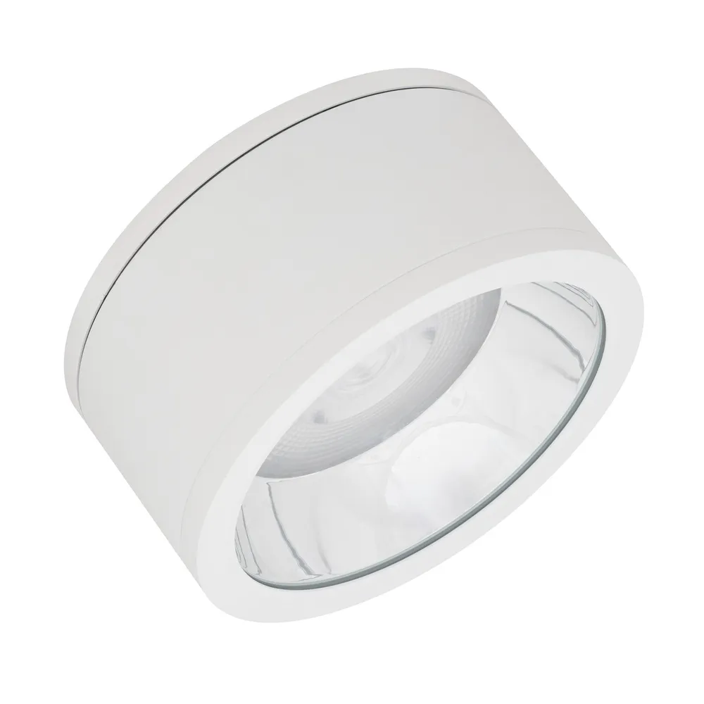 Ledvance DL SURFACE IP65 DN 250 P 45W 830 36D WT Pic_2