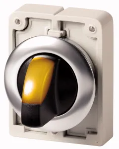 Eaton Electric M30I-FWRLK3-Y Pic_3