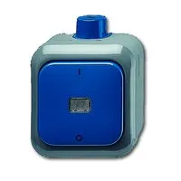 BUSCH-JAEGER ELEKTRO GMBH 2601/2 WDI Pic_2