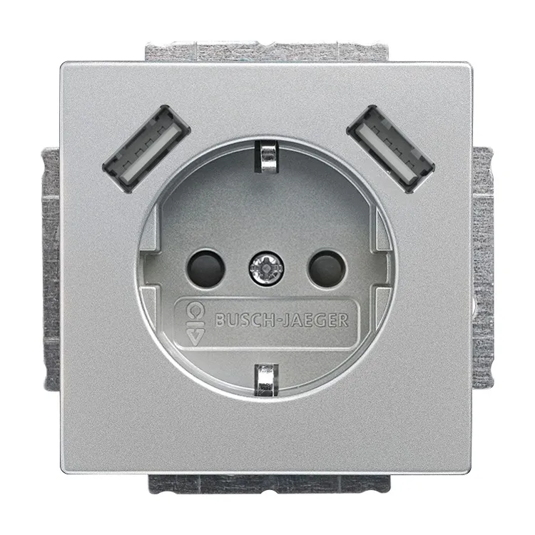 BUSCH-JAEGER ELEKTRO GMBH 20 EUCB2USB-866 Pic_1