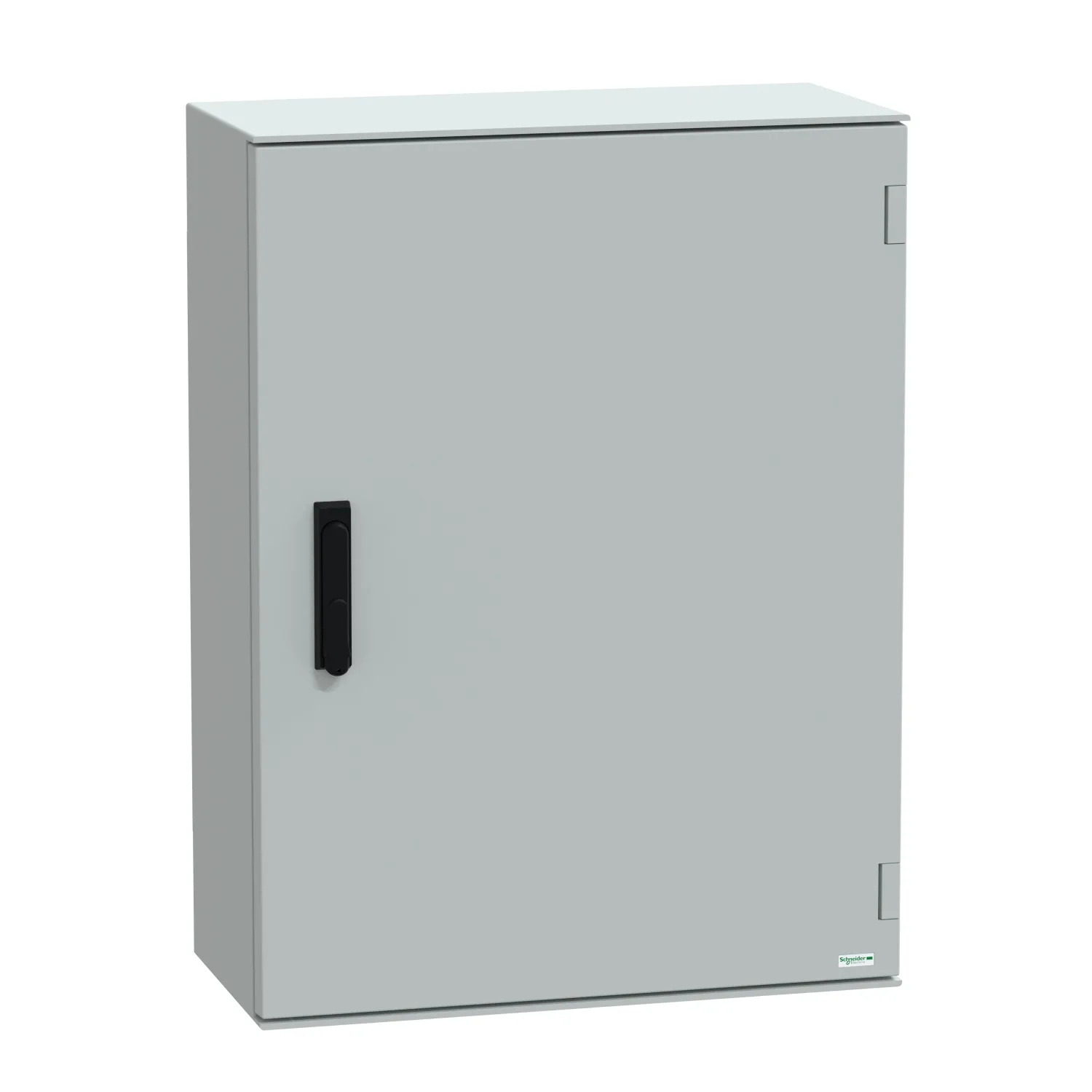 Schneider Electric NSYPLM86VG Pic_1