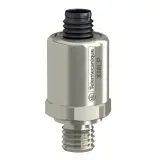 XMLP006GD71P
