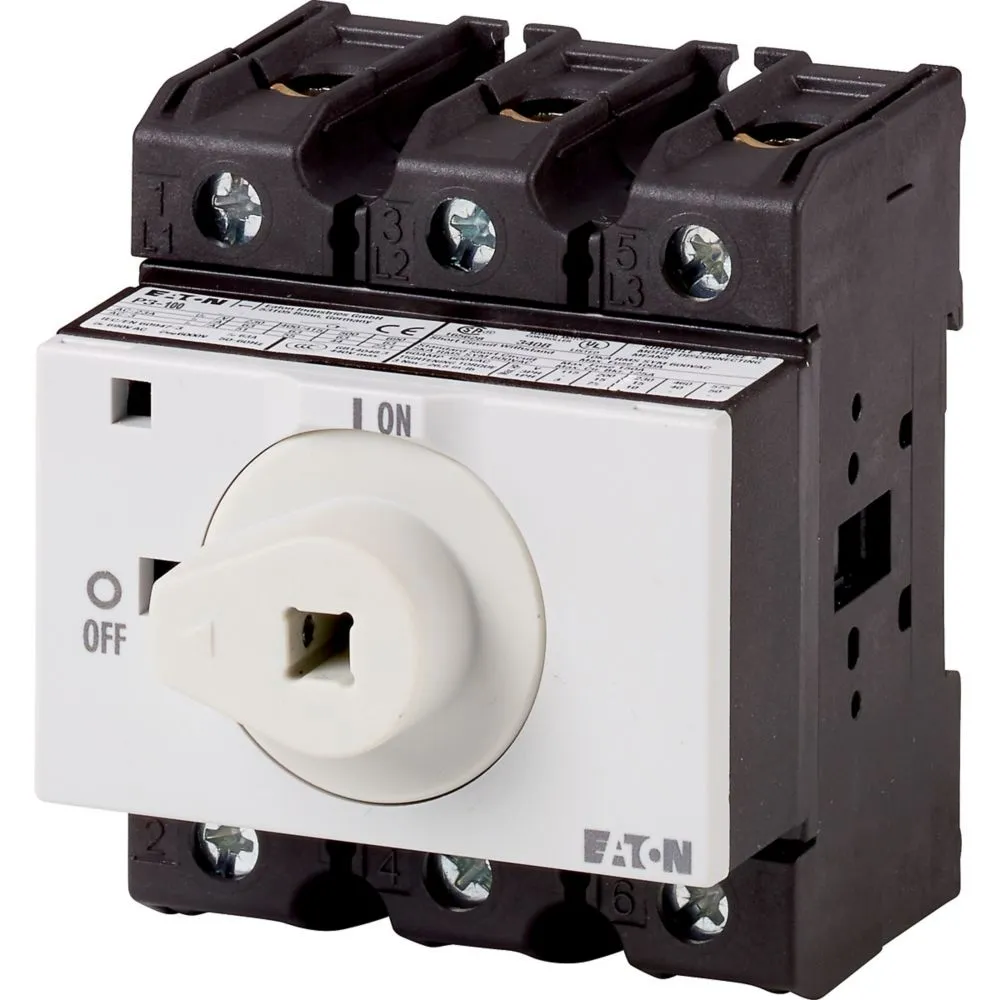 Eaton Electric P3-100/XM Pic_1
