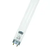 50200038260