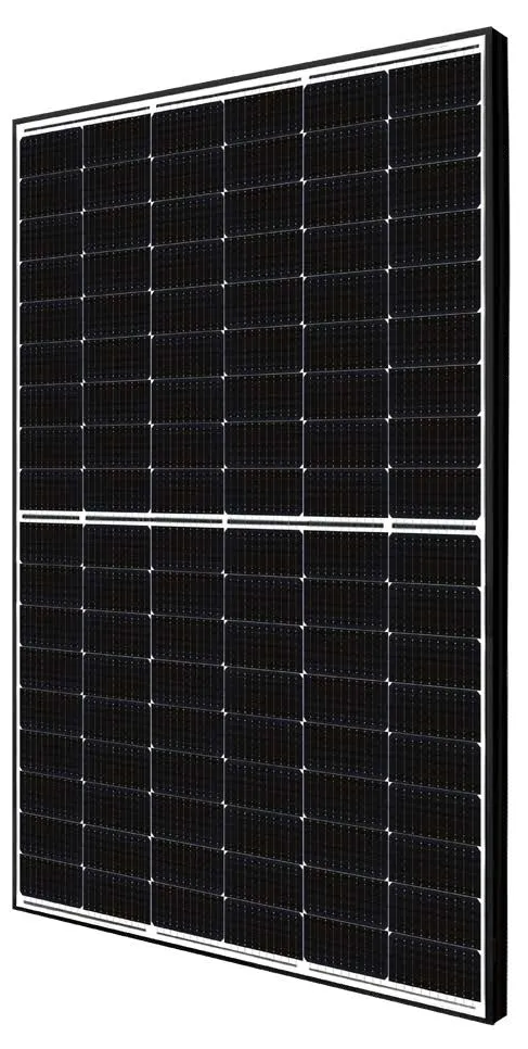 Canadian Solar EMEA GmbH CS6R-MS/BF/410W/EVO2/1100mm Pic_1