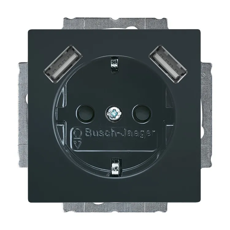 BUSCH-JAEGER ELEKTRO GMBH 20 EUCB2USB-81 Pic_1