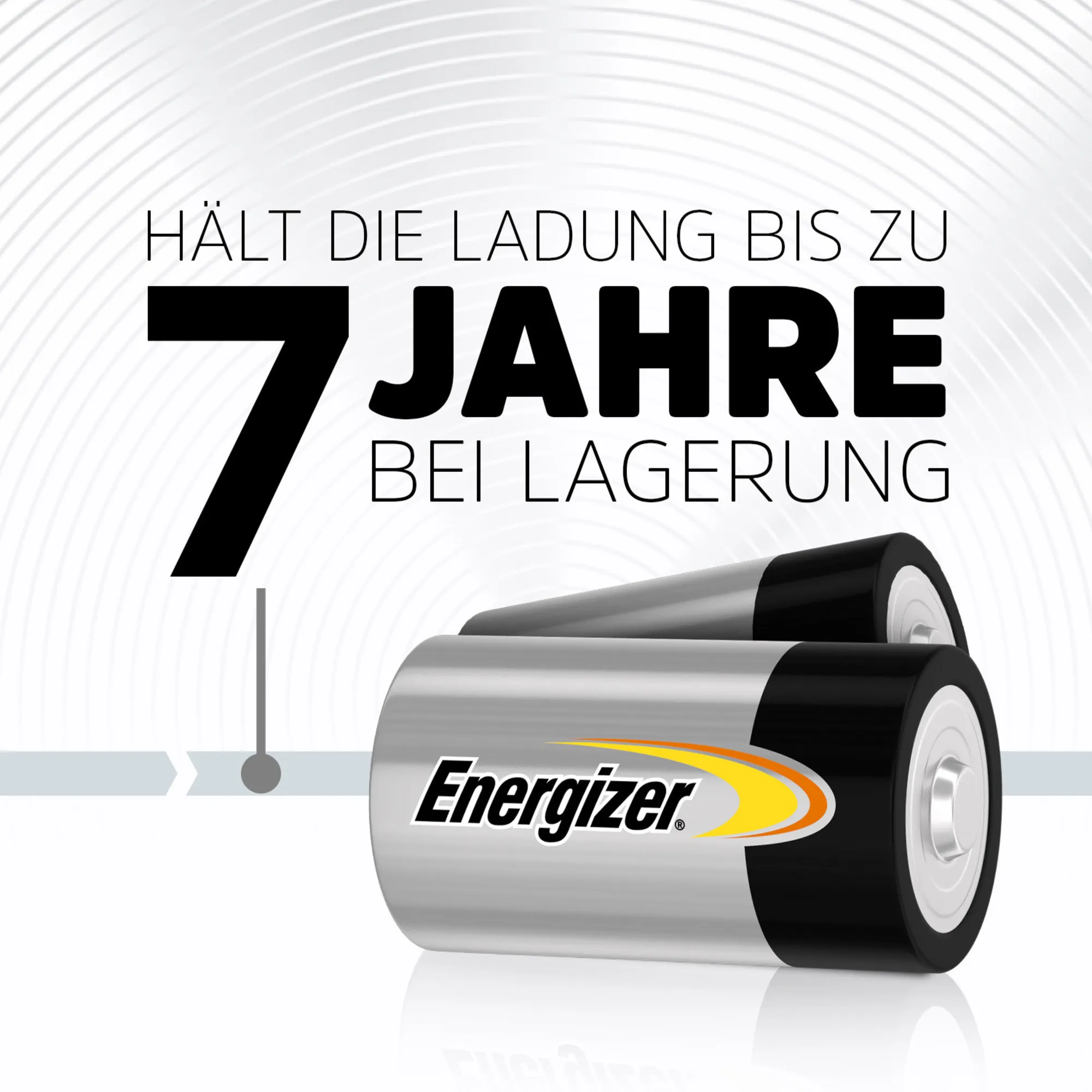 Energizer LR20 Pic_5