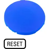 218204