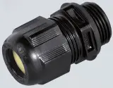 239155
