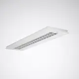 7619951