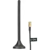FM WLAN ANT