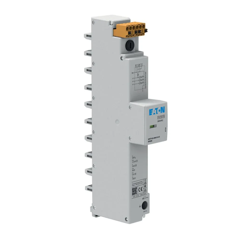 Eaton Electric SPZT123-300/3-H-S Pic_2