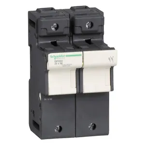 Schneider Electric DF222 Pic_1