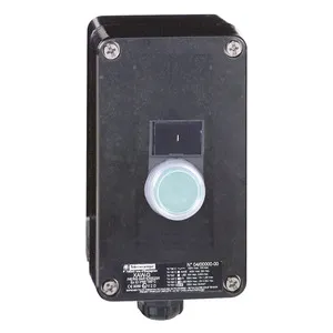 Schneider Electric XAWG100EX Pic_2