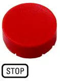 218239