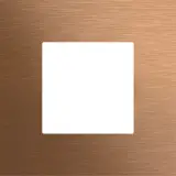 5545921