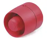 C110620005