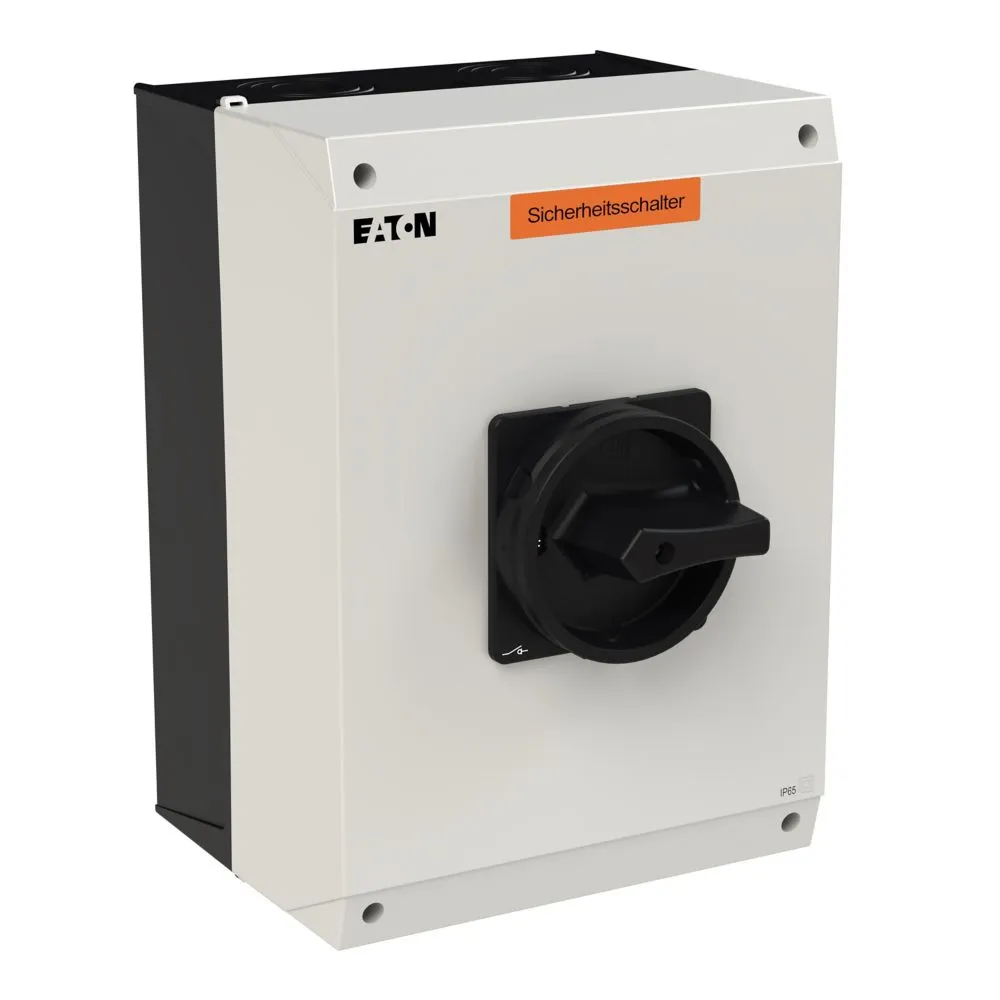 Eaton Electric P3-100/I5-SI-SW Pic_2