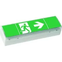 Cooper Safety SV EURO 4 LED 3h ISO 7010 Pic_2