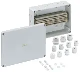 61003401