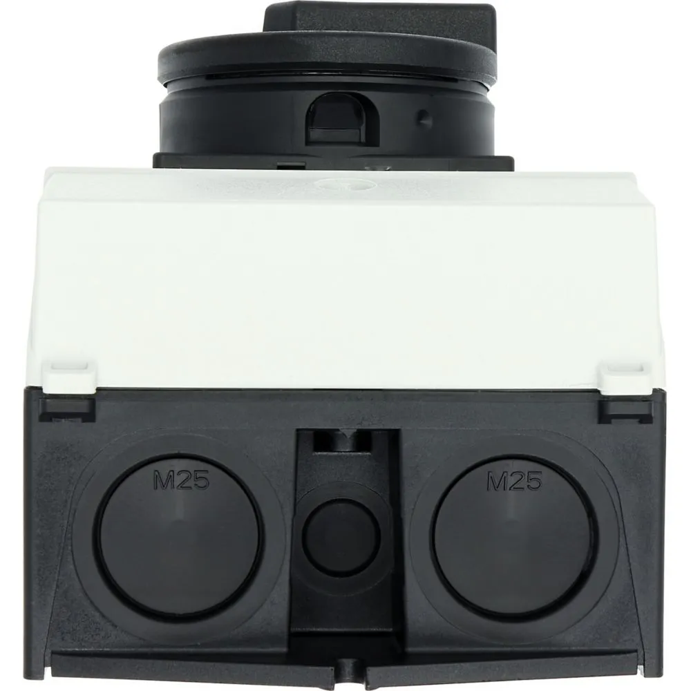 Eaton Electric P1-25/I2/SVB-SW Pic_2