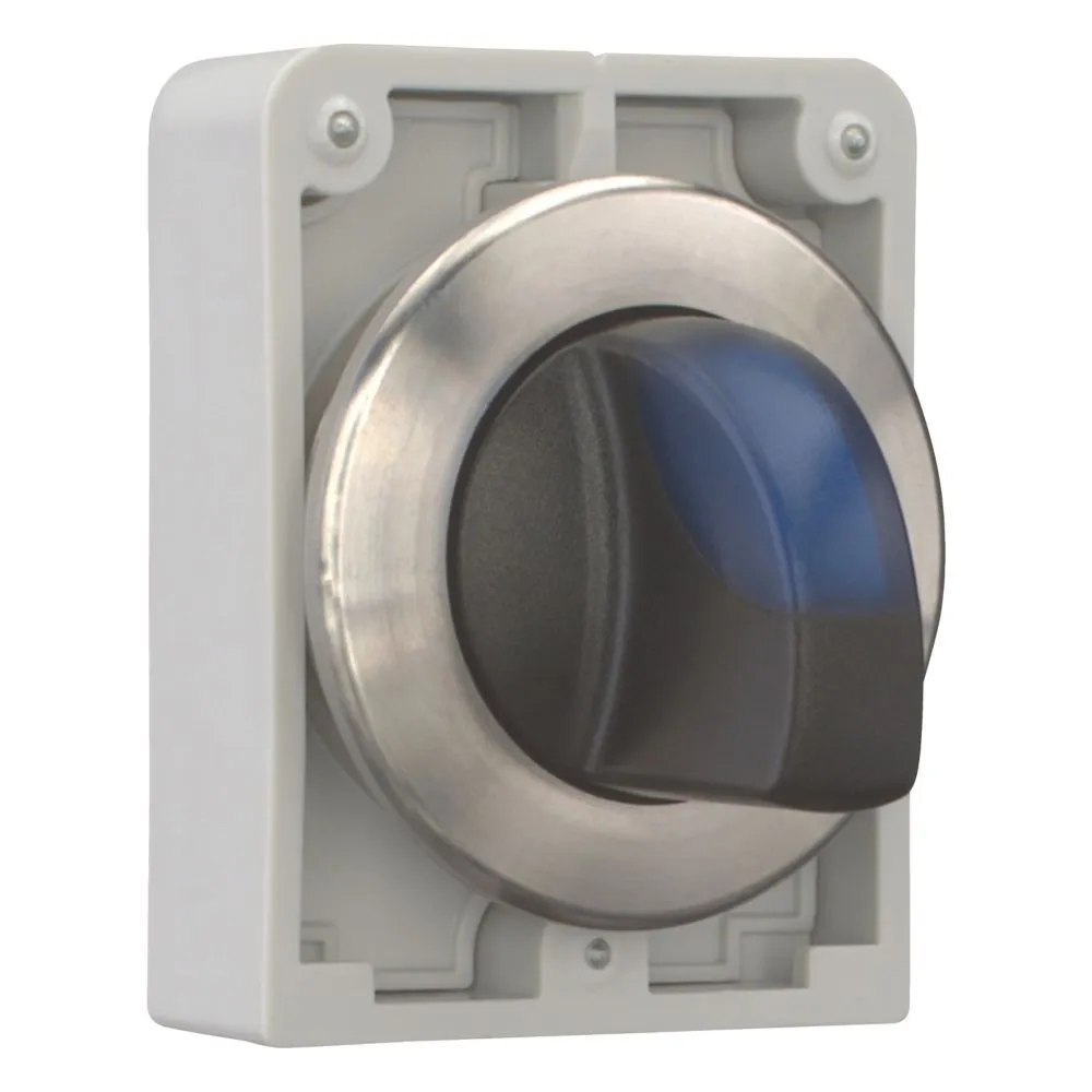 Eaton Electric M30I-FWLK3-B Pic_2
