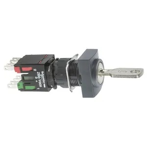 Schneider Electric XB6DGC5B Pic_1