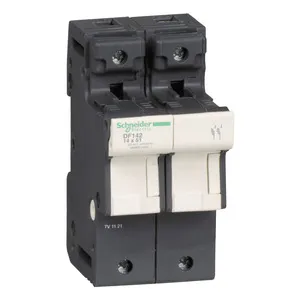 Schneider Electric DF142 Pic_2