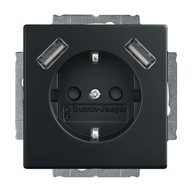 BUSCH-JAEGER ELEKTRO GMBH 20 EUCB2USB-885 Pic_1