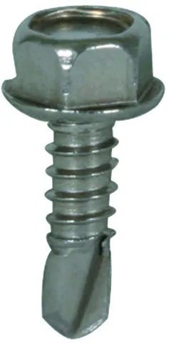 Dehn + Söhne BSC 6.3X19 SW10 V2A Pic_2