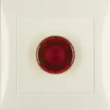51018982