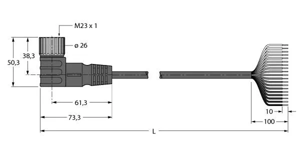 Turck CKWM19-19-10/TXL Pic_1