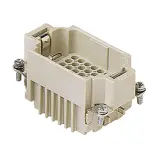 CDDM 42