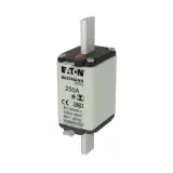 NH FUSE 200A 500V GL/GG SIZE 1