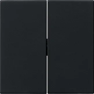 GIRA ELEKTROTECHN. INDUSTRIE 0295005 Pic_1