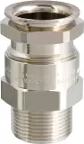 CAP806699V1