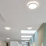 8333691263310