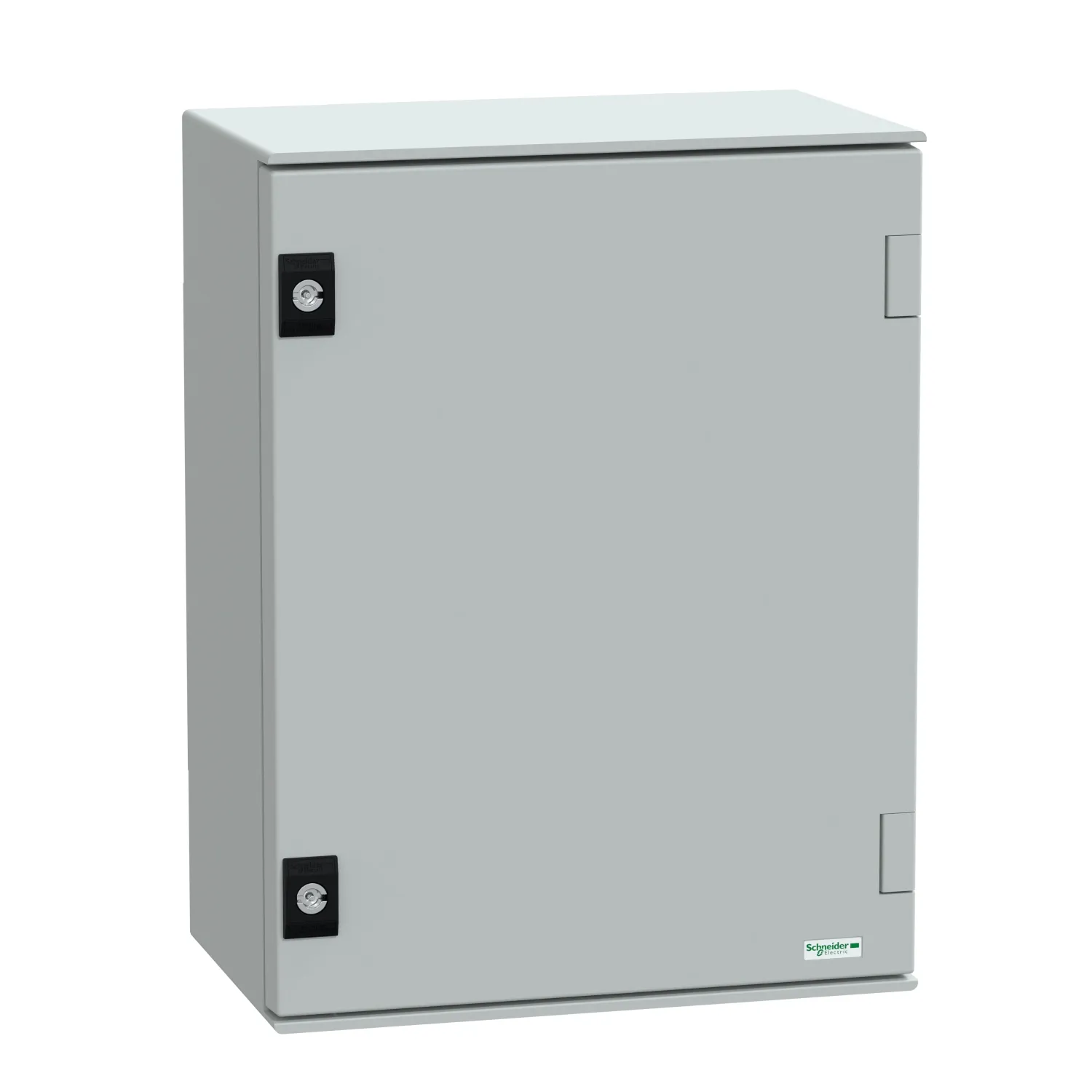 Schneider Electric NSYPLM43PG Pic_1